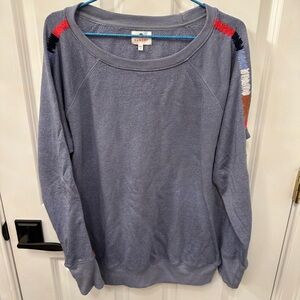 Sundry Raglan Blue Embroidered Pullover Crew Neck Sweatshirt